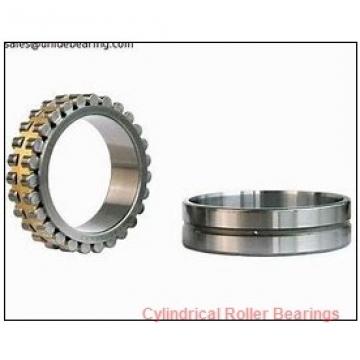 1.75 Inch | 44.45 Millimeter x 2.5 Inch | 63.5 Millimeter x 0.938 Inch | 23.825 Millimeter  ROLLWAY BEARING WS-207-15  Cylindrical Roller Bearings