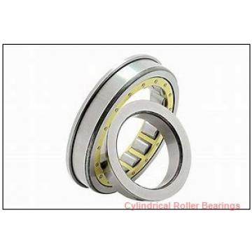 2.188 Inch | 55.575 Millimeter x 2.938 Inch | 74.625 Millimeter x 1.563 Inch | 39.7 Millimeter  ROLLWAY BEARING WS-209-25  Cylindrical Roller Bearings