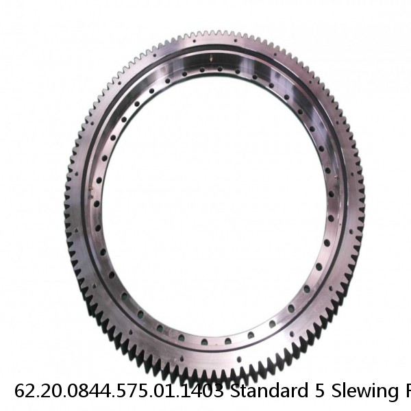 62.20.0844.575.01.1403 Standard 5 Slewing Ring Bearings #1 small image