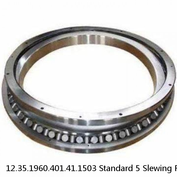 12.35.1960.401.41.1503 Standard 5 Slewing Ring Bearings #1 small image