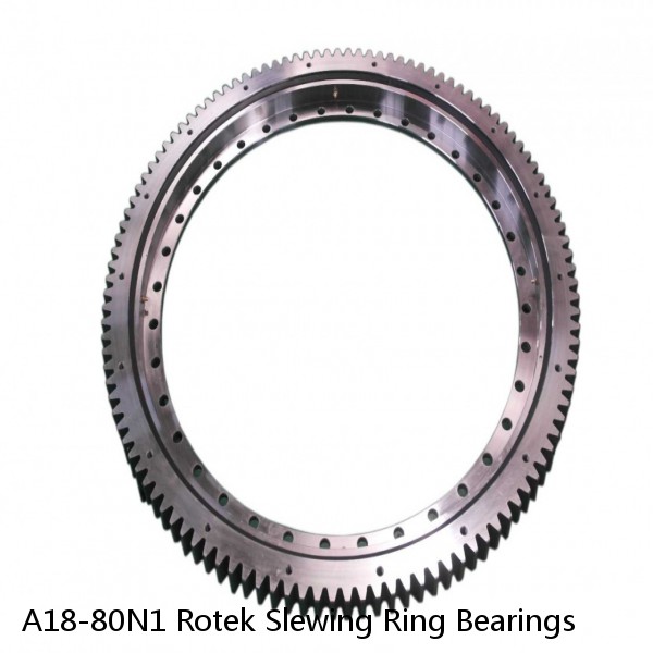 A18-80N1 Rotek Slewing Ring Bearings