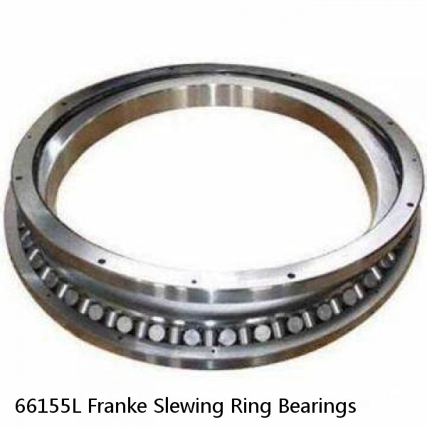 66155L Franke Slewing Ring Bearings #1 small image