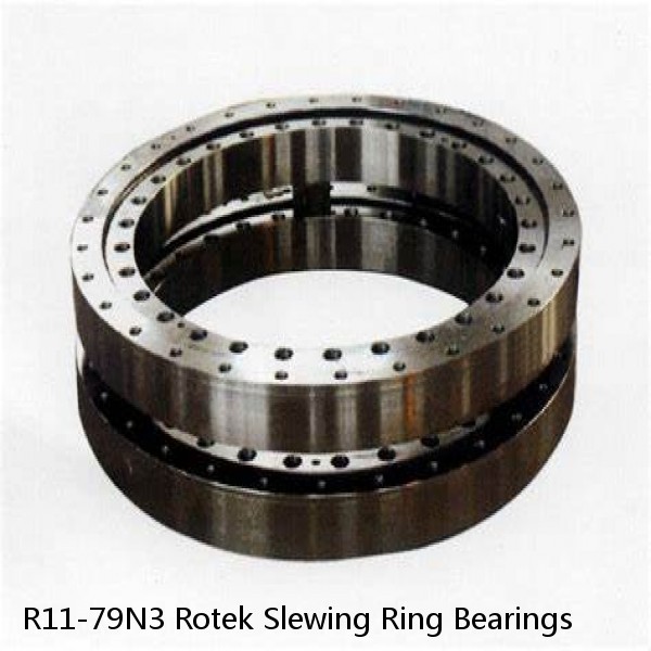 R11-79N3 Rotek Slewing Ring Bearings #1 small image