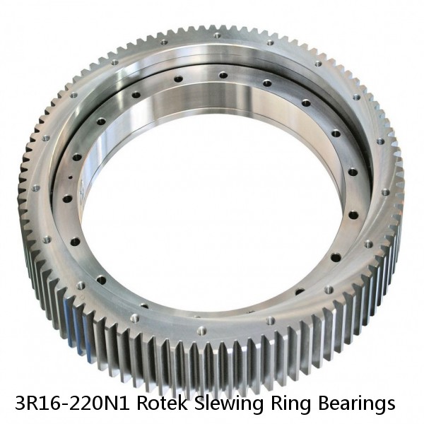3R16-220N1 Rotek Slewing Ring Bearings