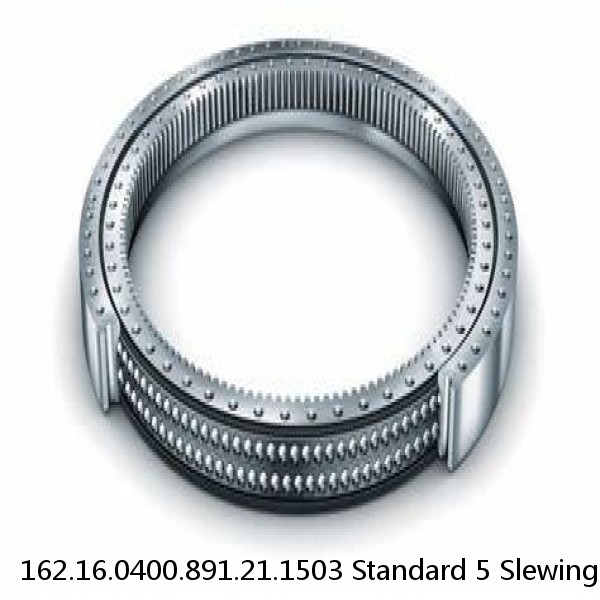 162.16.0400.891.21.1503 Standard 5 Slewing Ring Bearings