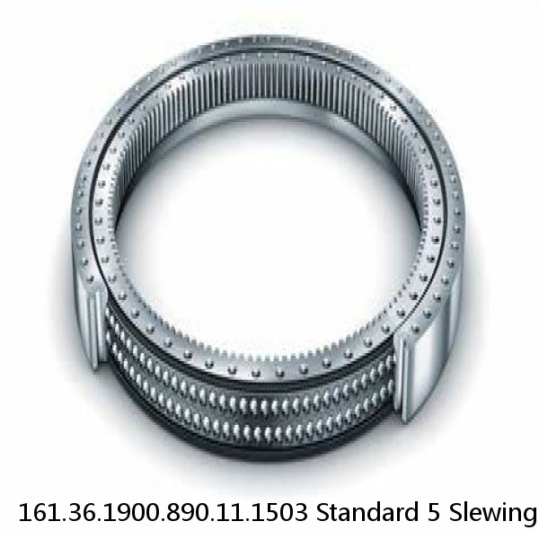 161.36.1900.890.11.1503 Standard 5 Slewing Ring Bearings #1 small image