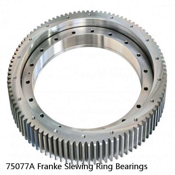 75077A Franke Slewing Ring Bearings #1 small image