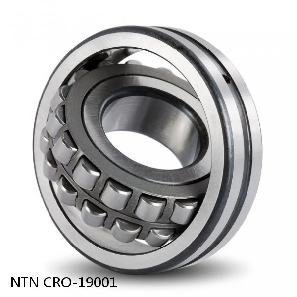 CRO-19001 NTN Cylindrical Roller Bearing #1 small image