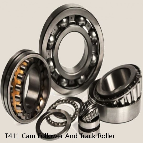 T411 Cam Follower And Track Roller #1 small image
