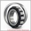1.75 Inch | 44.45 Millimeter x 2.5 Inch | 63.5 Millimeter x 1.188 Inch | 30.175 Millimeter  ROLLWAY BEARING WS-207-19  Cylindrical Roller Bearings