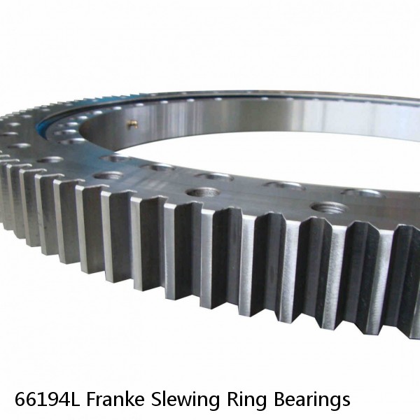 66194L Franke Slewing Ring Bearings #1 image