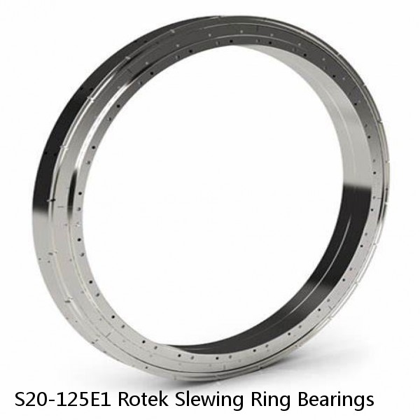 S20-125E1 Rotek Slewing Ring Bearings #1 image