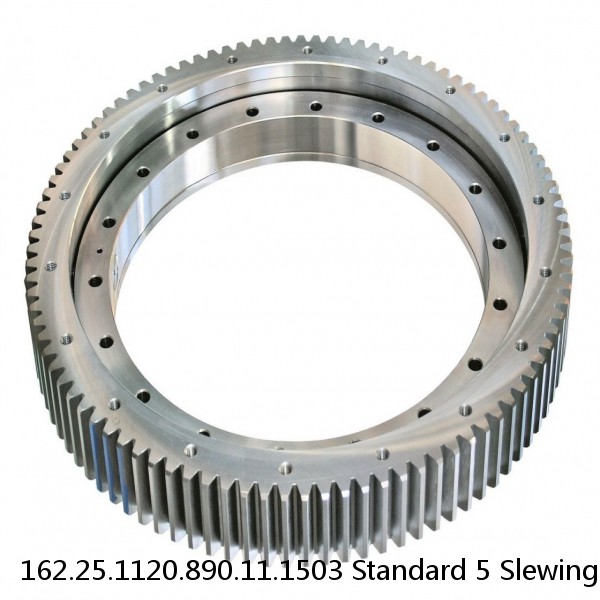 162.25.1120.890.11.1503 Standard 5 Slewing Ring Bearings #1 image