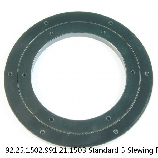 92.25.1502.991.21.1503 Standard 5 Slewing Ring Bearings #1 image