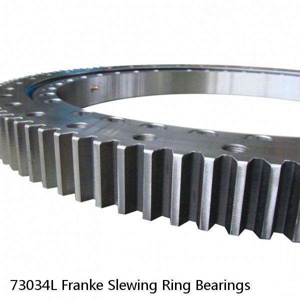 73034L Franke Slewing Ring Bearings #1 image