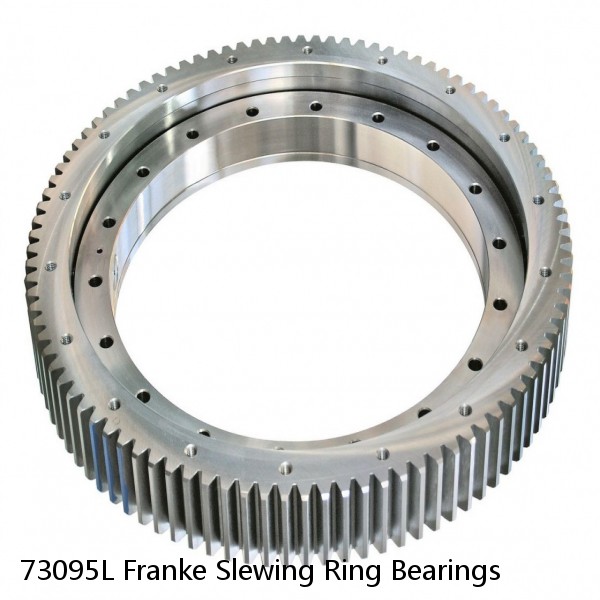 73095L Franke Slewing Ring Bearings #1 image