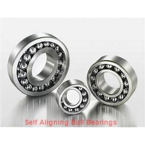 45 mm x 100 mm x 36 mm  FAG 2309-TVH  Self Aligning Ball Bearings #1 image