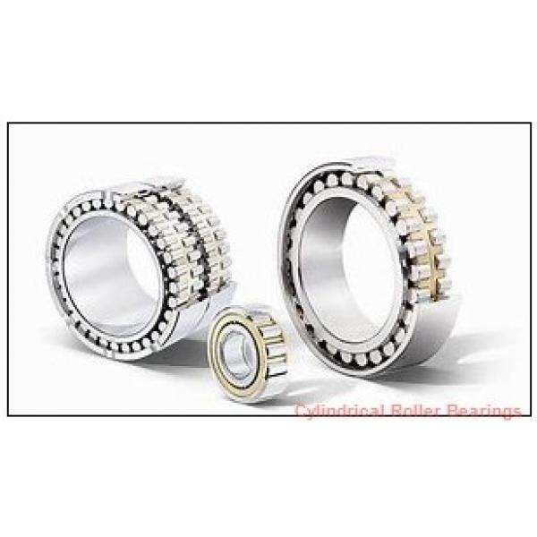 2.875 Inch | 73.025 Millimeter x 3.875 Inch | 98.425 Millimeter x 1.438 Inch | 36.525 Millimeter  ROLLWAY BEARING WS-212  Cylindrical Roller Bearings #1 image
