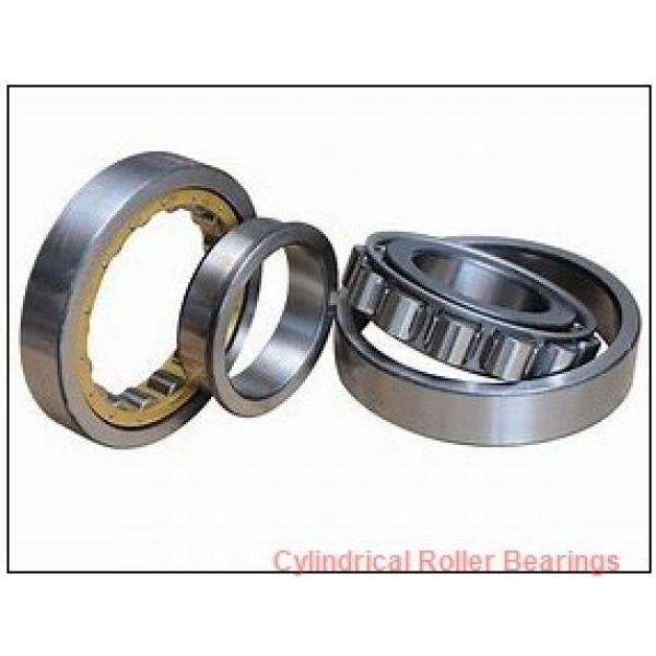 2.188 Inch | 55.575 Millimeter x 2.938 Inch | 74.625 Millimeter x 1.125 Inch | 28.575 Millimeter  ROLLWAY BEARING WS-209-18  Cylindrical Roller Bearings #1 image