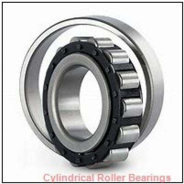 2.875 Inch | 73.025 Millimeter x 3.875 Inch | 98.425 Millimeter x 1.938 Inch | 49.225 Millimeter  ROLLWAY BEARING WS-212-31  Cylindrical Roller Bearings #2 image