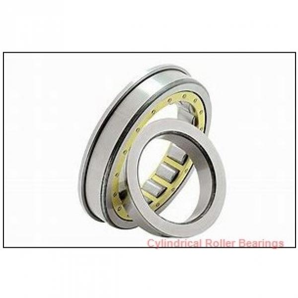 2.188 Inch | 55.575 Millimeter x 2.938 Inch | 74.625 Millimeter x 1.563 Inch | 39.7 Millimeter  ROLLWAY BEARING WS-209-25  Cylindrical Roller Bearings #2 image