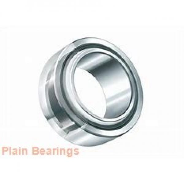 RIT BEARING FPR 60 S  Plain Bearings #1 image